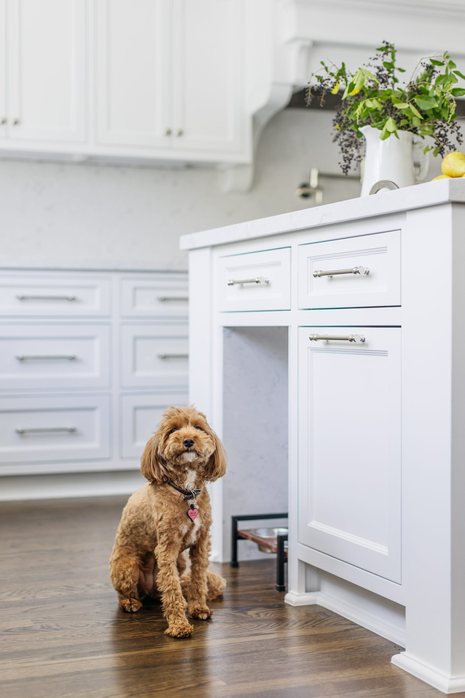 Historic preservation - kitchen designed by Coco Maison with custom island with dog feeding station.